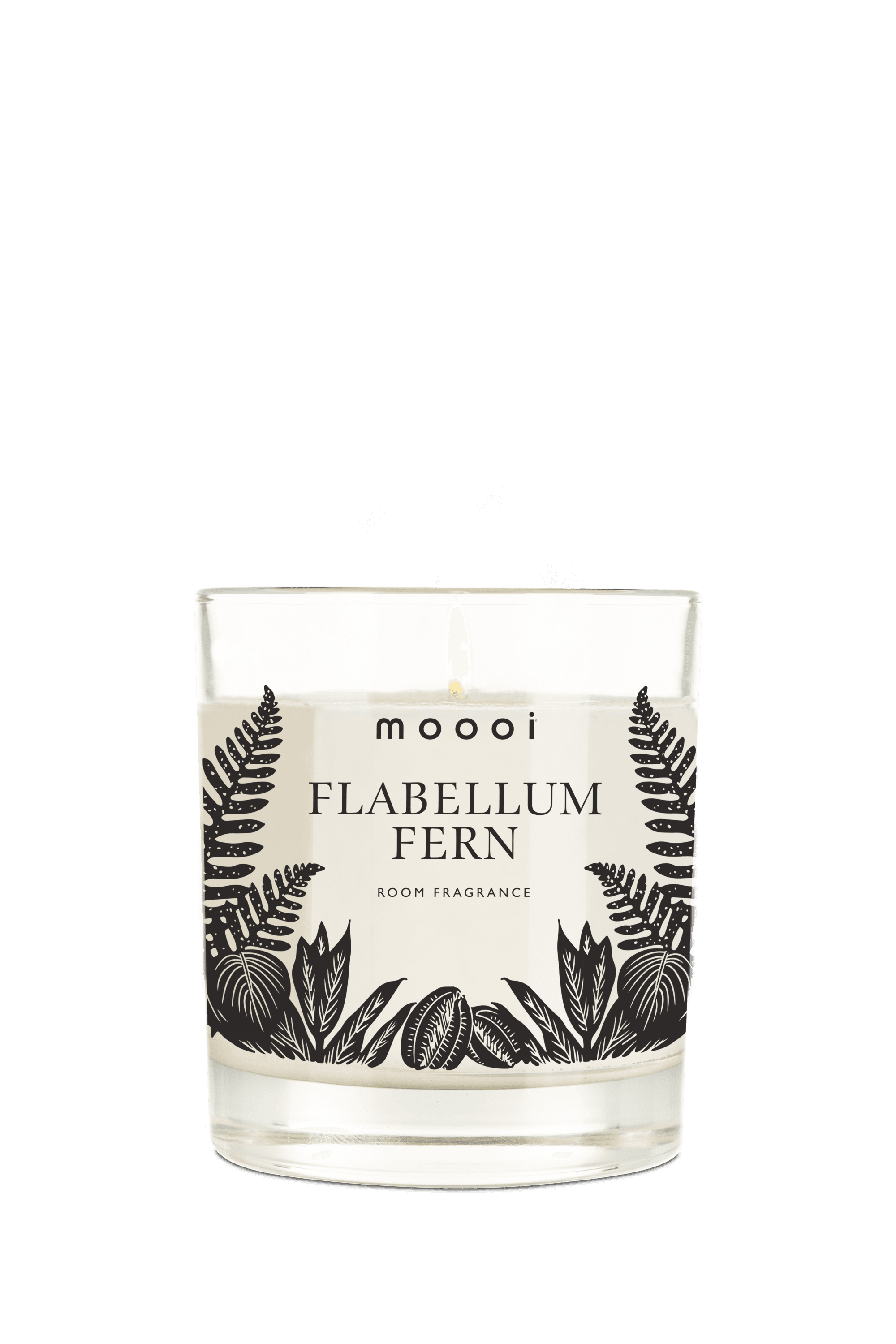 Scented Candle Flabellum Fern front view