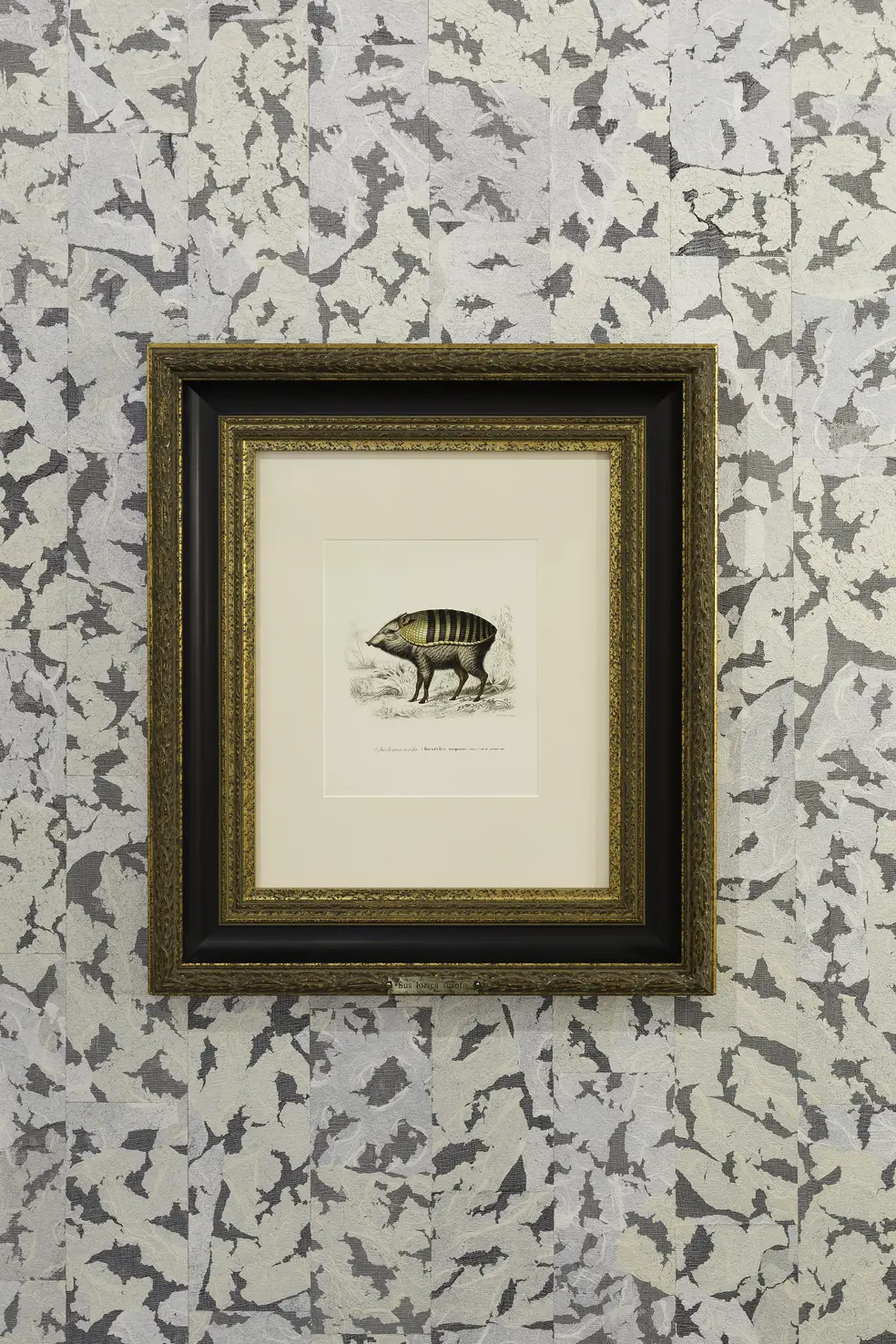 Interior of New York Brandstore 2018 with framed drawing of Armoured Boar