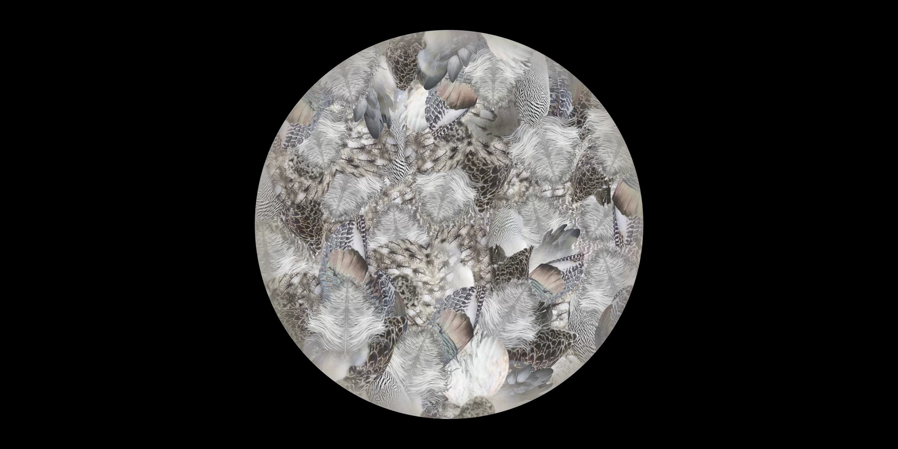 Carpet Extinct Animal Dodo Pavone