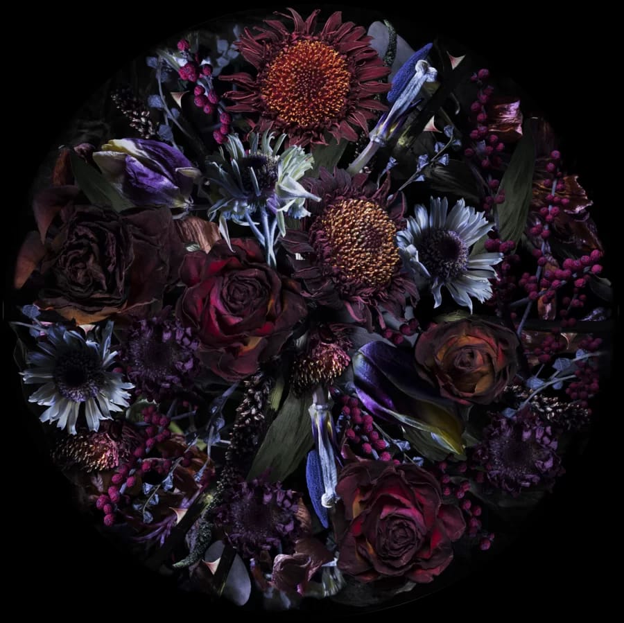 Carpet Fools Paradise Round