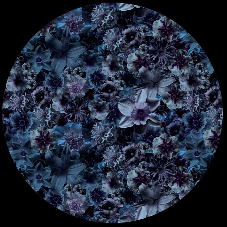 Flowergarden Carpet Night