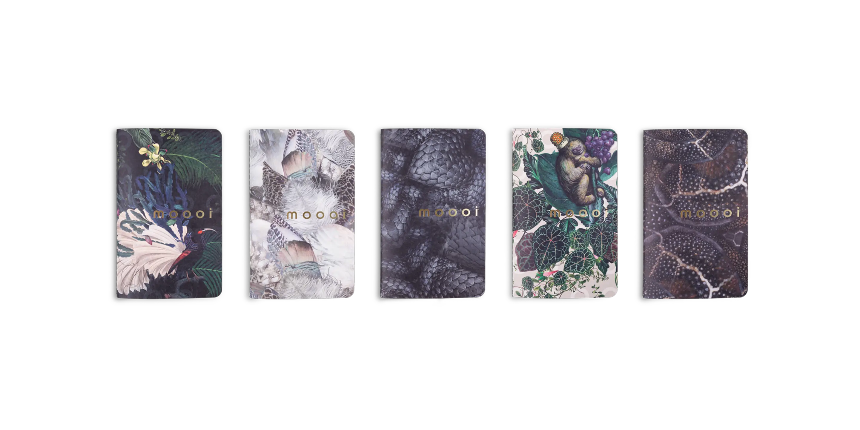 Extinct Animals Notebook set