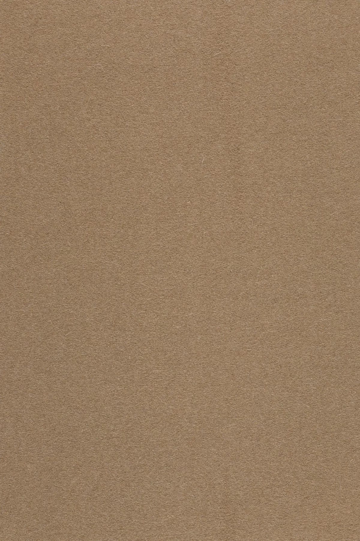 Fabric sample Divina 3 334 brown