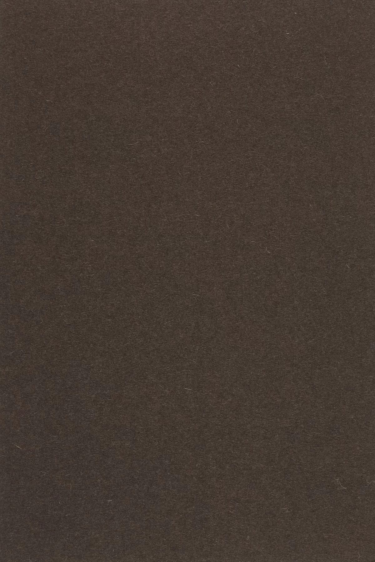 Fabric sample Divina 3 393 brown