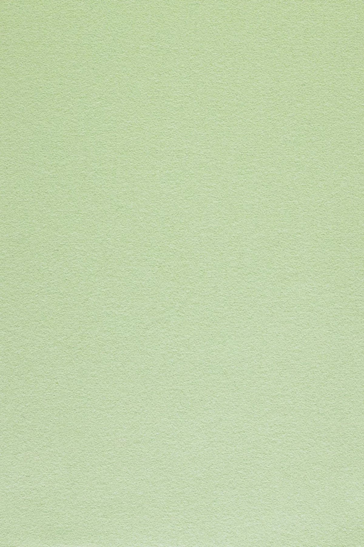 Fabric sample Divina 3 846 green