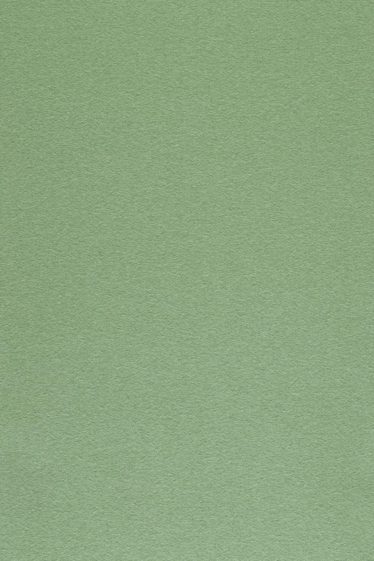 Fabric sample Divina 3 856 green