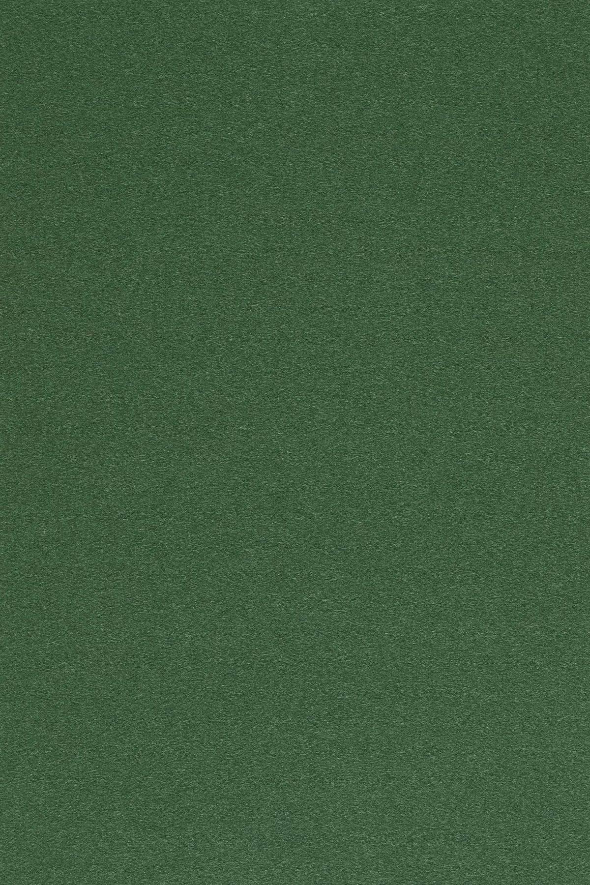 Fabric sample Divina 3 876 green
