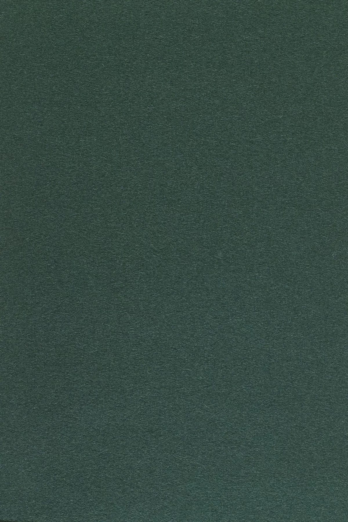 Fabric sample Divina 3 886 green
