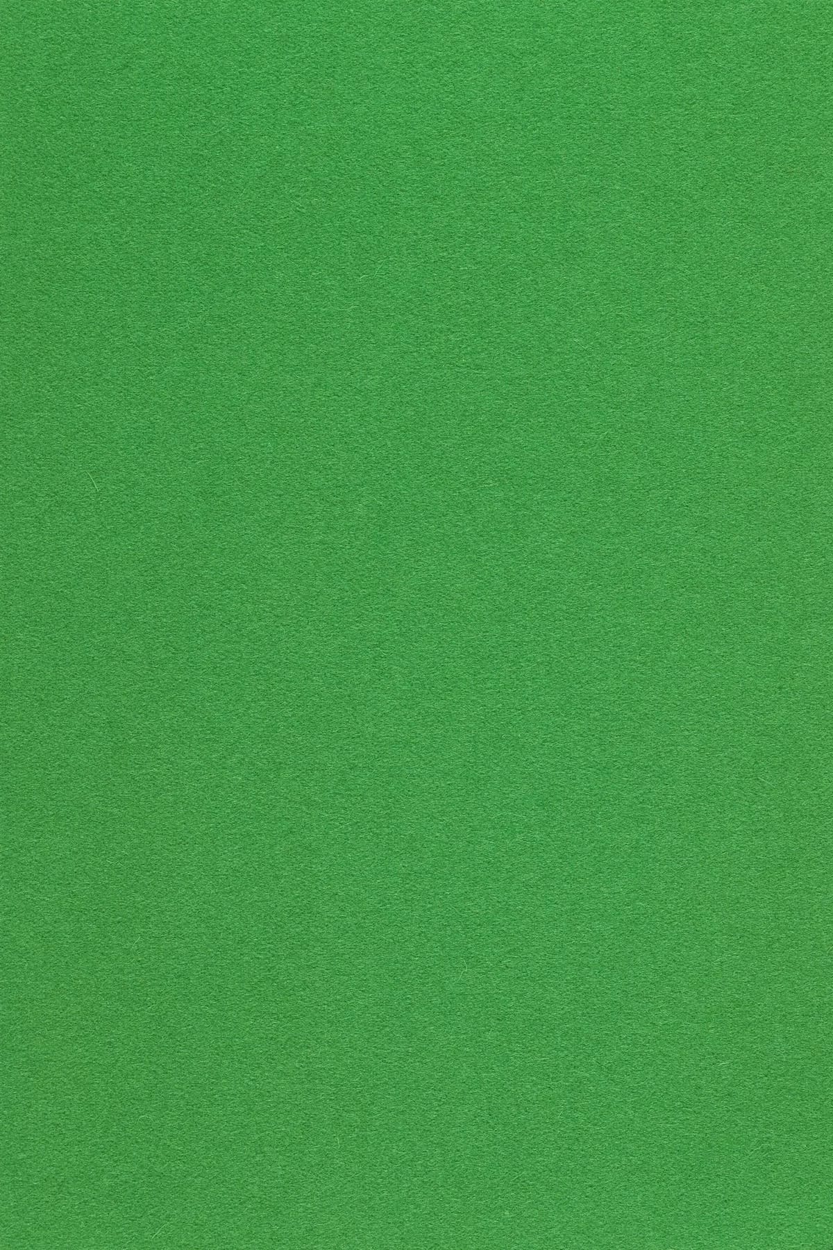 Fabric sample Divina 3 922 green