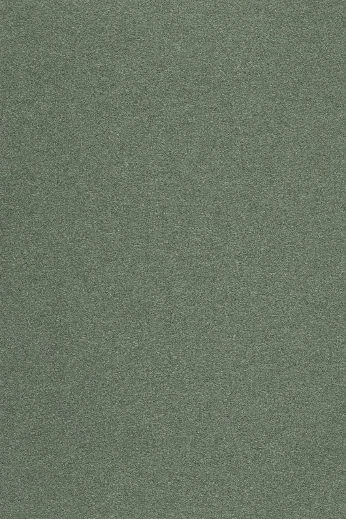 Fabric sample Divina 3 944 green