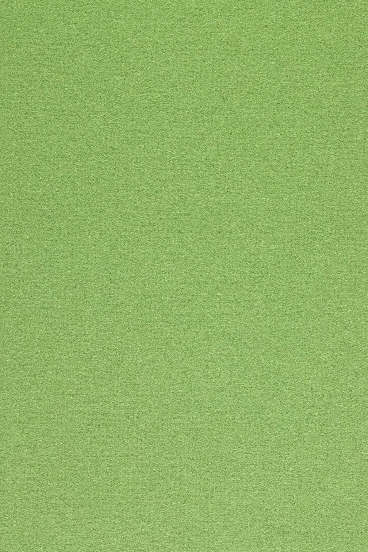 Fabric sample Divina 3 956 green
