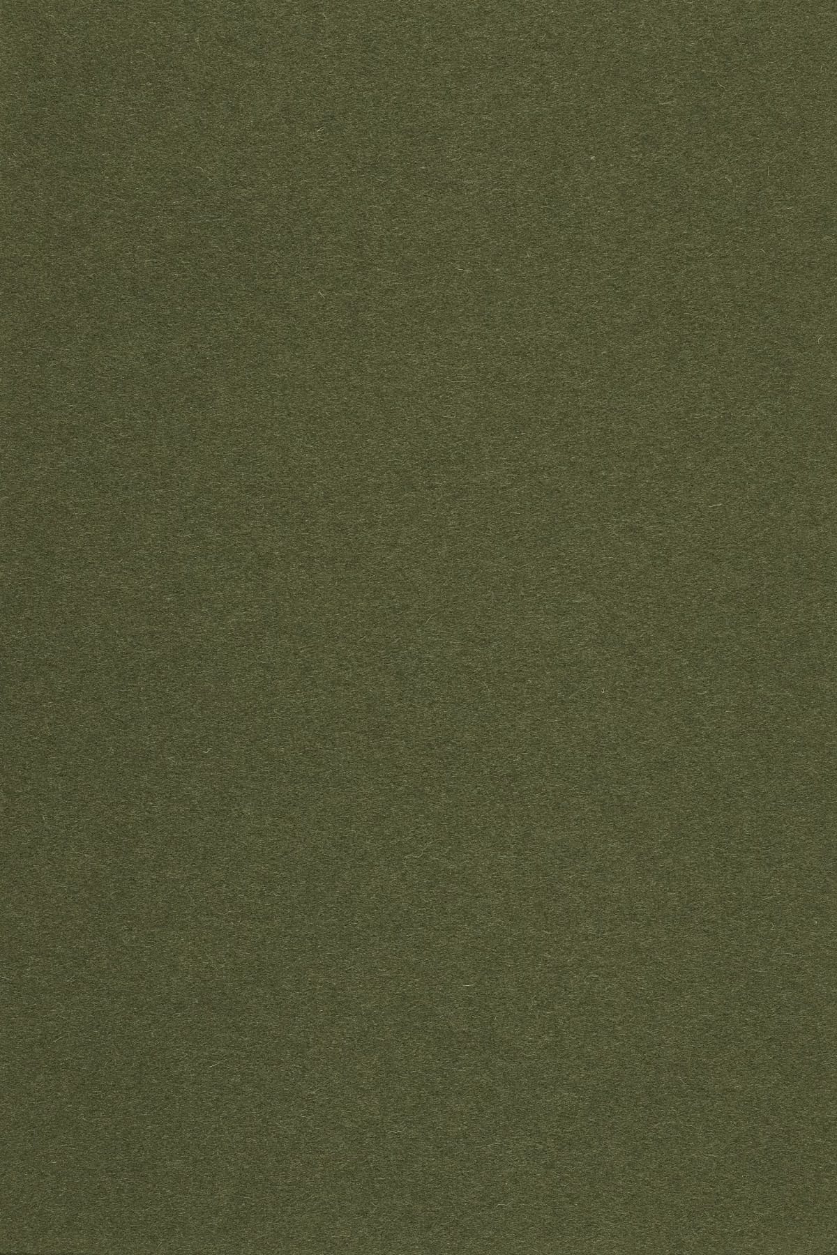 Fabric sample Divina 3 984 green