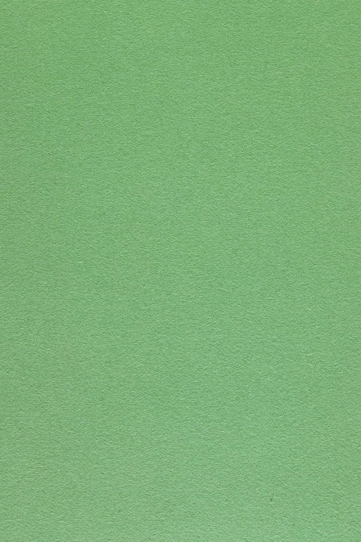 Fabric sample Divina 3 966 green